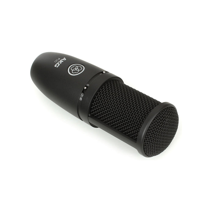 AKG P120 Condenser Microphone