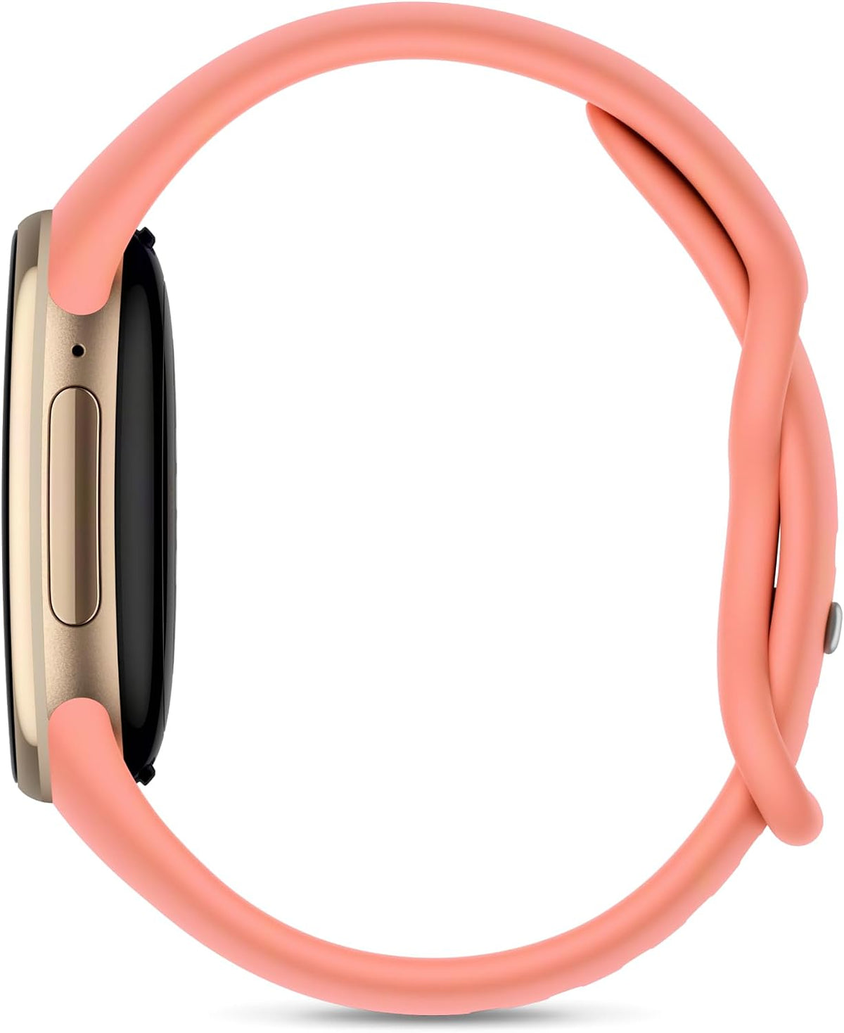Google Fitbit Edge (Canyon)