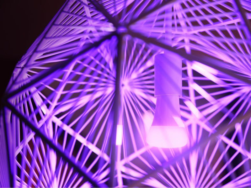 Philips Hue White and Colour Ambiance Starter Kit 7.5W A60 E27