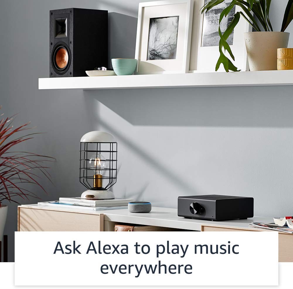 Amazon Echo Link Amp - view 5
