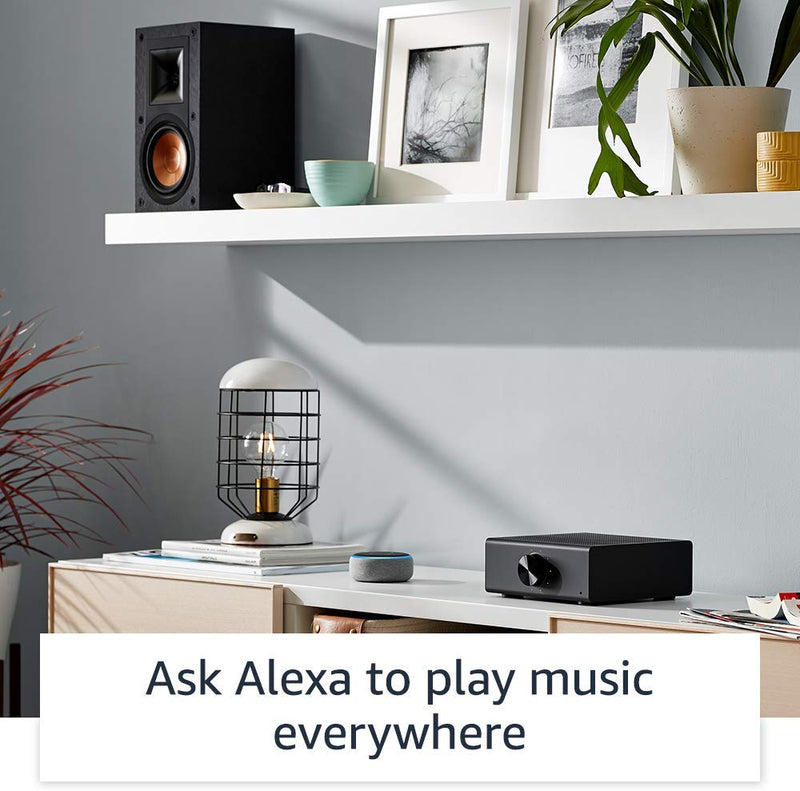 Amazon Echo Link Amp