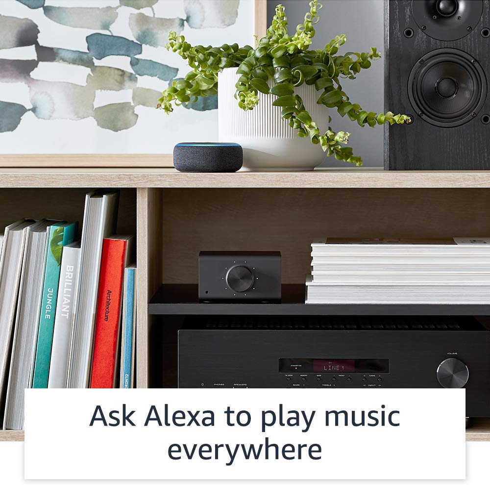 Amazon Echo Link - view 5
