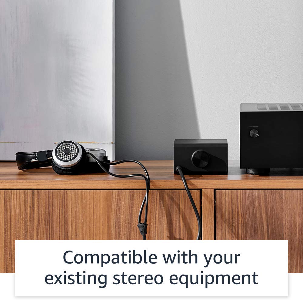 Amazon Echo Link - view 4
