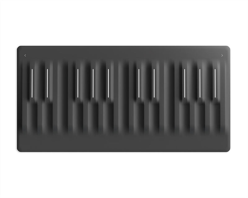 ROLI Seaboard Block M