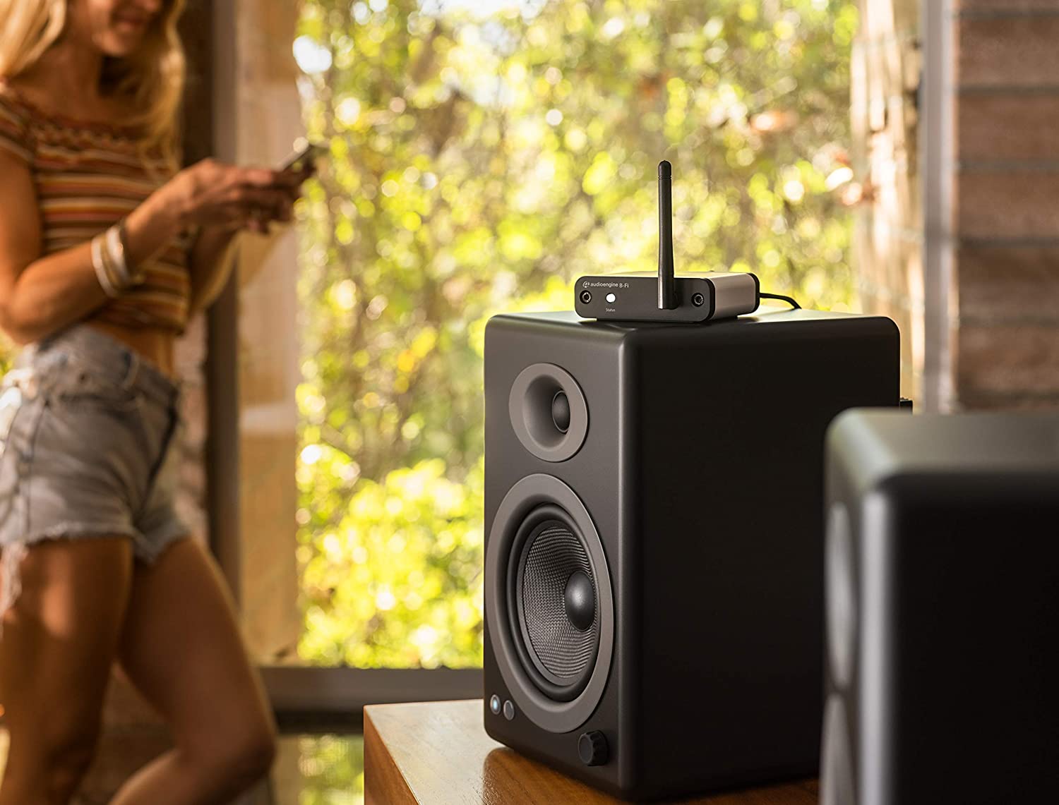 Audioengine B-Fi Multiroom Music Streamer - view 4