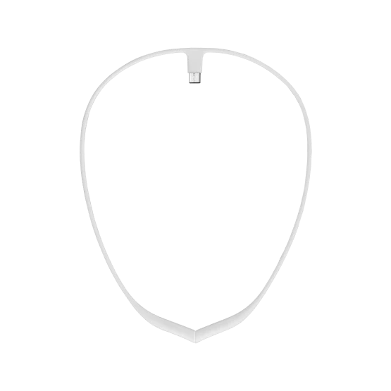 Upright Necklace USB-C (Compatible with Upright GO2)